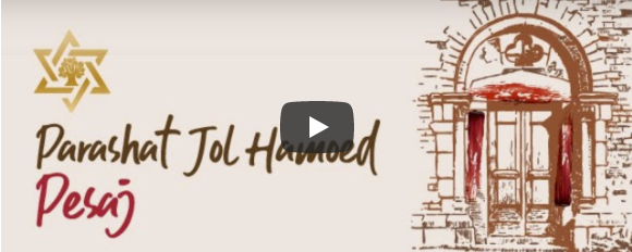 Parashat Jol Hamoed