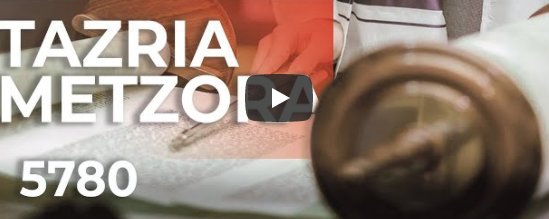 Parashot Tazria – Metzora 5780